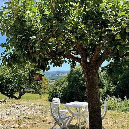 Chateauneuf-de-Galaure Gite Chez Poloヴィラ エクステリア 写真