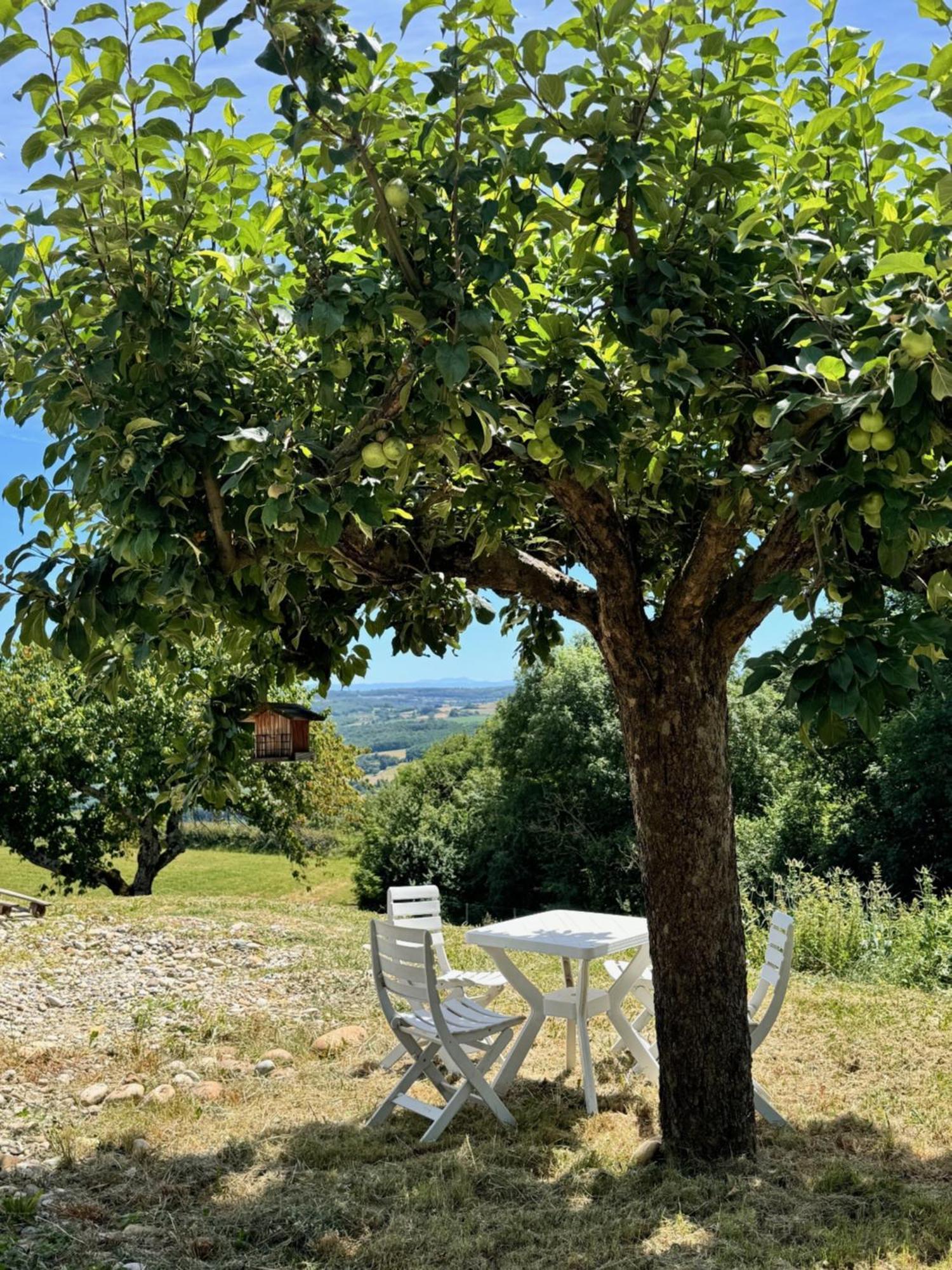 Chateauneuf-de-Galaure Gite Chez Poloヴィラ エクステリア 写真